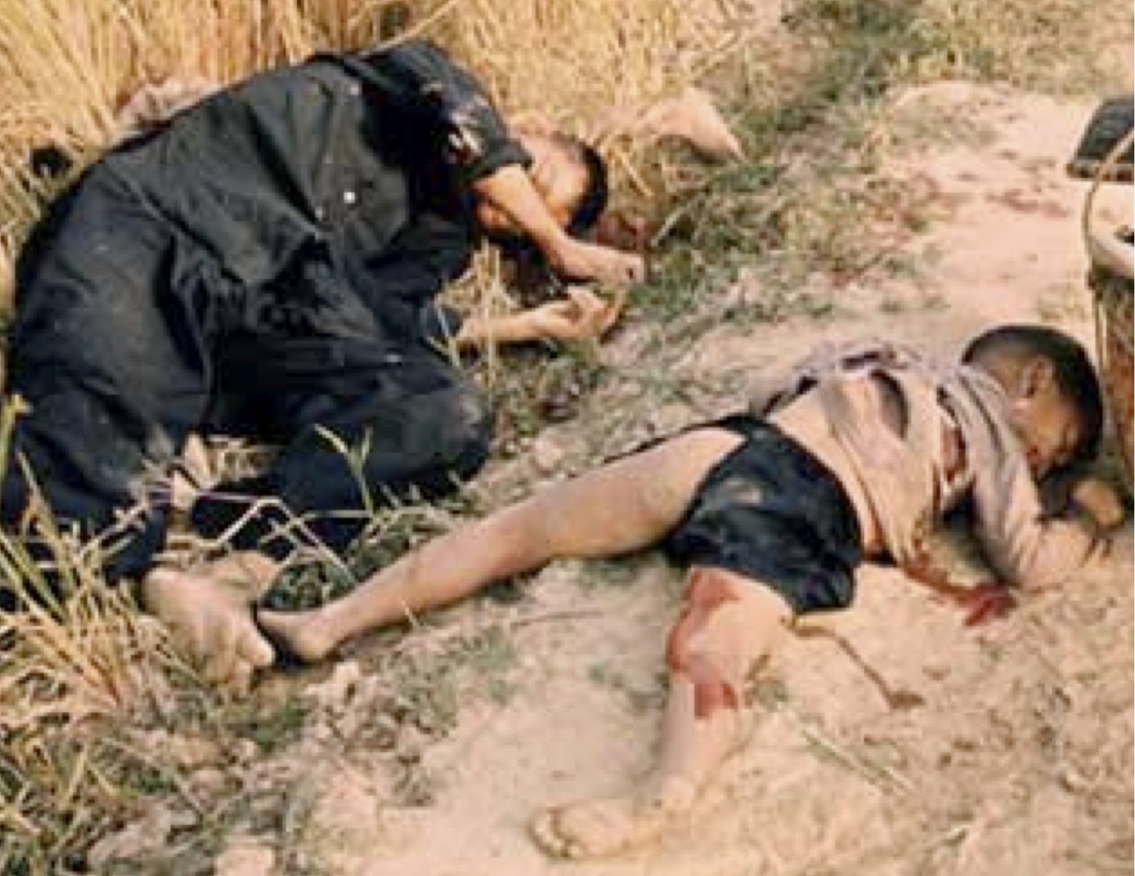 Image result for my lai massacre