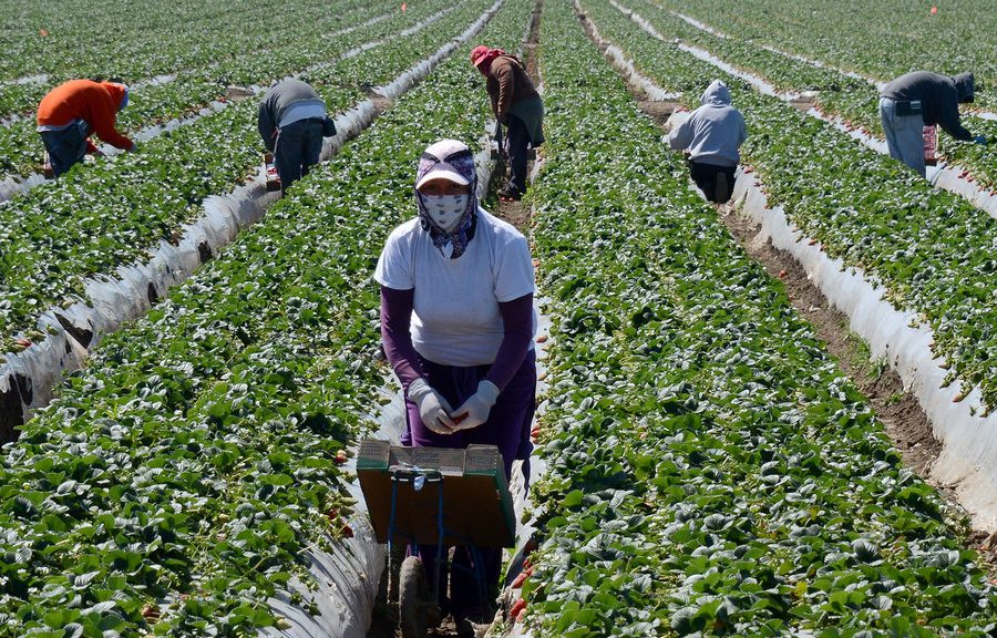 National Farm Workers Association