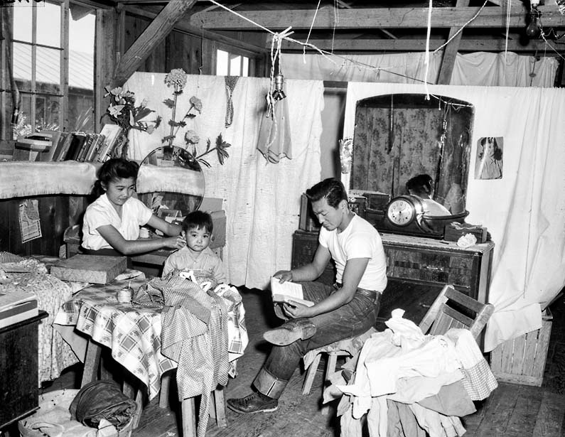 Japanese Americans: The Japanese Internment Camps